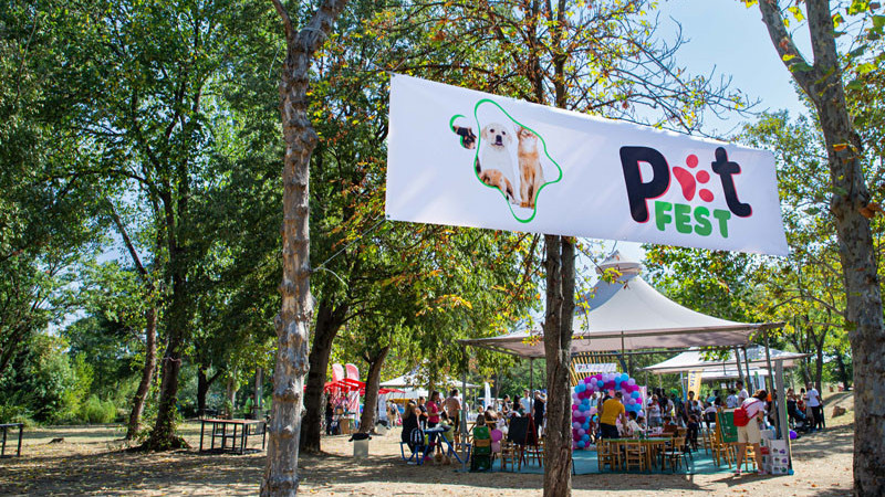 Pet Fest 2025: Üsküp’te hayvanseverler için büyük buluşma