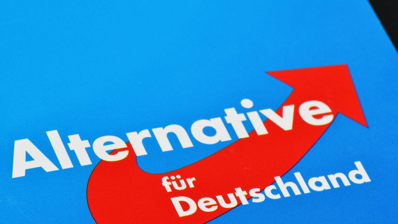 Alman iç istihbarat kurumu: AfD anayasal düzene karşı bir oluşum