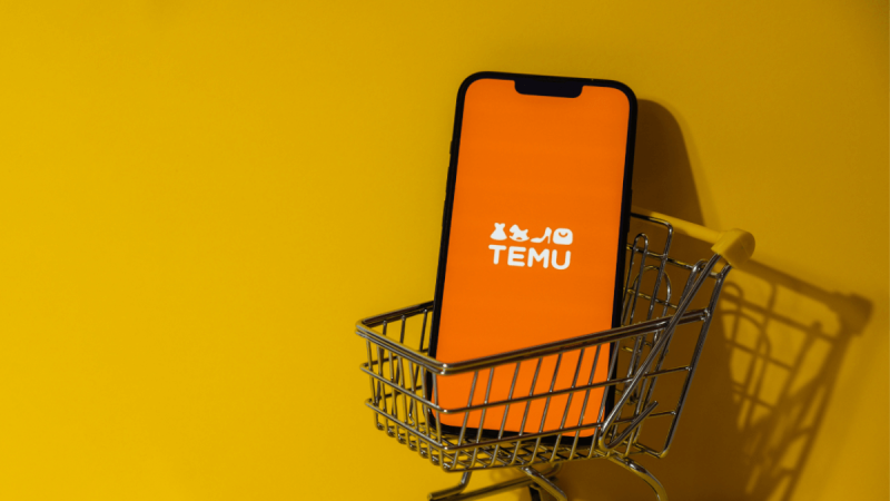 Temu Kuzey Makedonya’yı fethetti: Ayda 500 bin paket teslim ediliyor