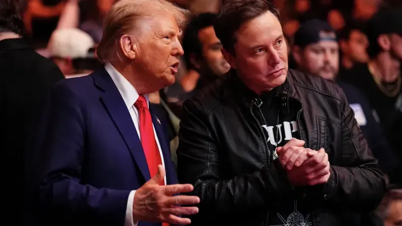 Musk: 
