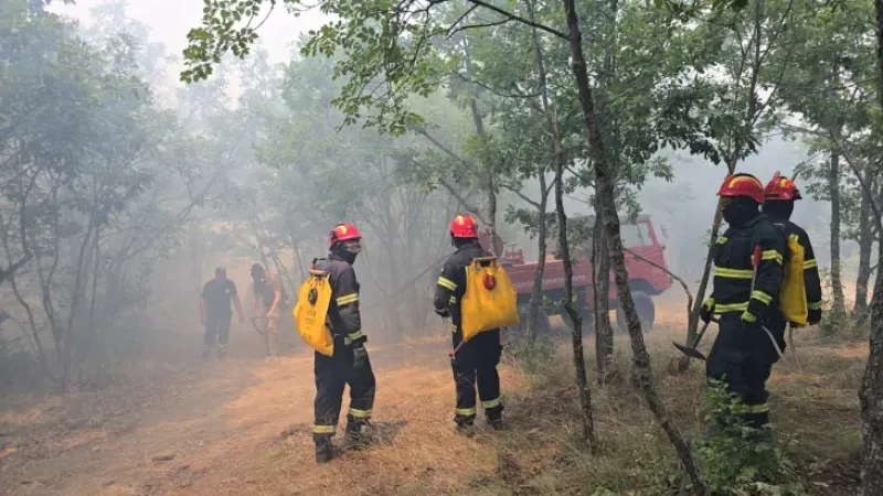 Orman yangınları sürüyor: Köprülü ve Makedonski Brod'da aktif bölgeler