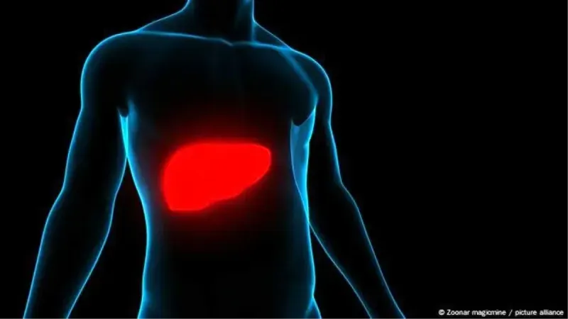 Hepatit türleri ve tedavi yöntemleri