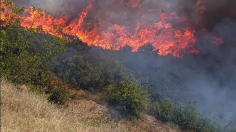 Kuzey Makedonya AB'den yardım talep etti: Ülke yangınlarla mücadelede alarmda