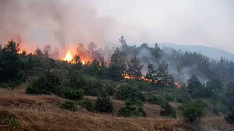 Kuzey Makedonya’da 8 orman yangını hâlâ aktif
